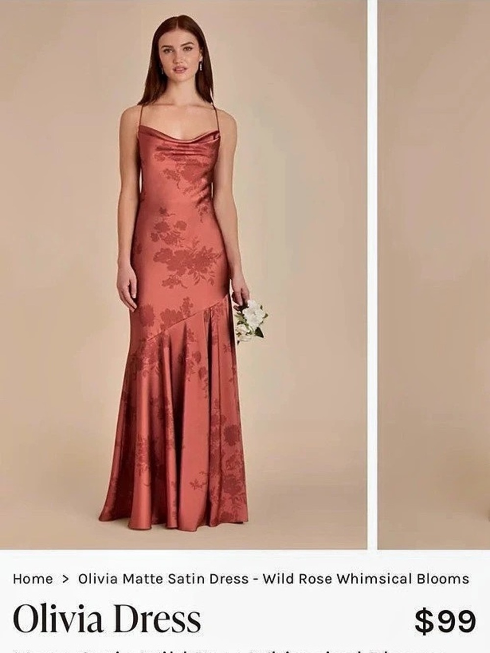 Birdy Grey Olivia Matte Satin Dress - Wild Rose Whimsical Blooms Floral Maxi
